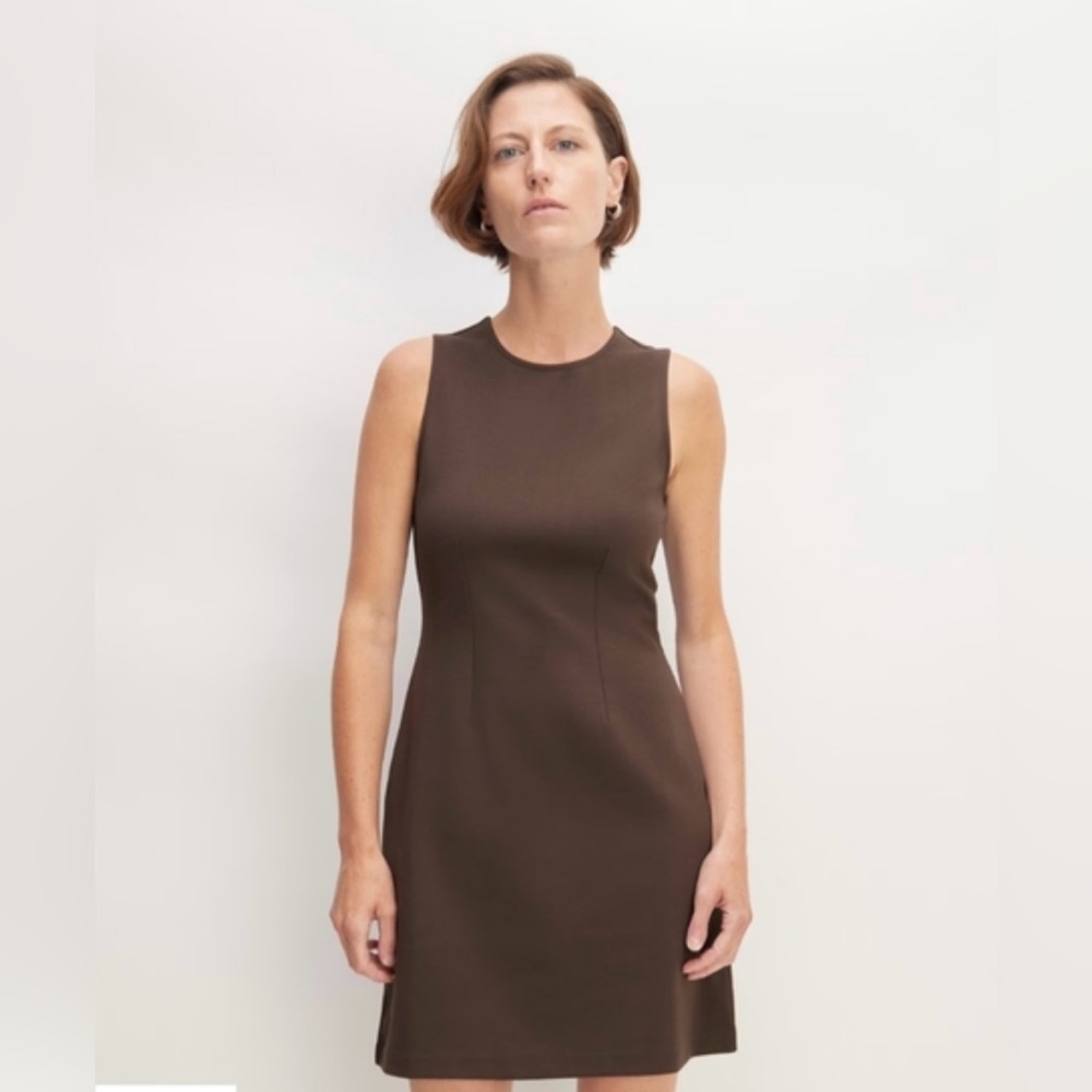 Everlane The Dream '90s Shift Dress